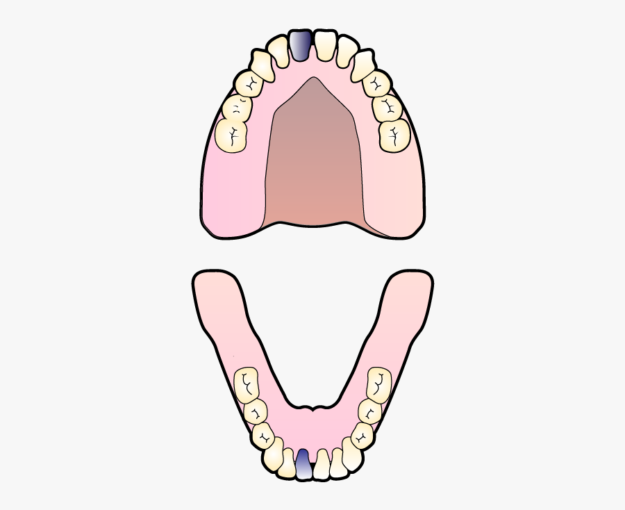 Cepillarse Los Dientes Clip Art, Transparent Clipart