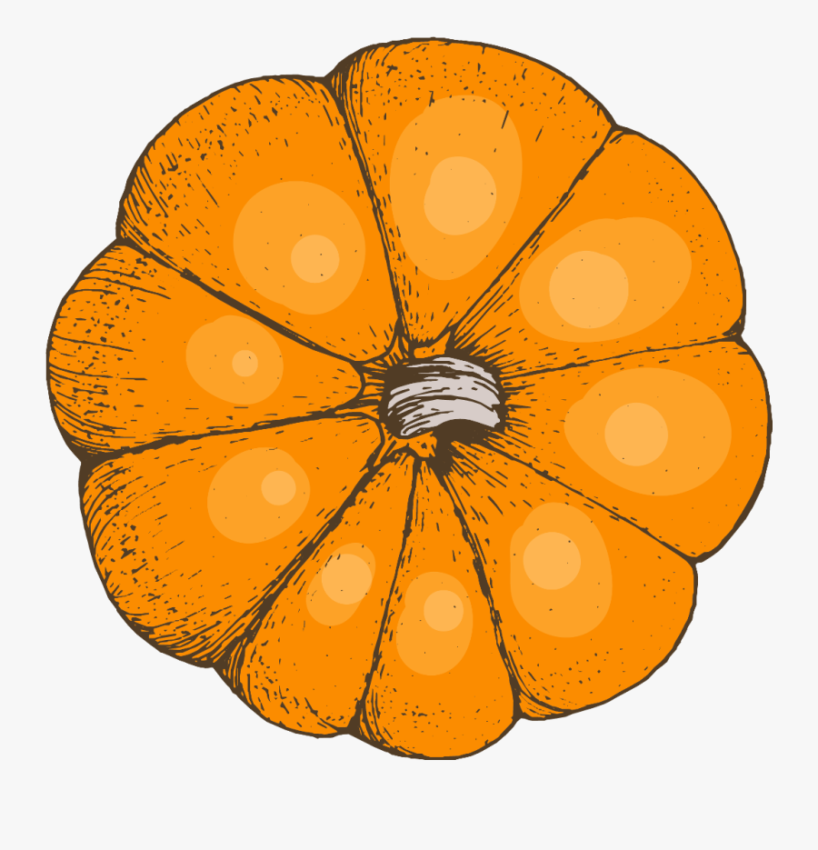 Transparent Watercolor Pumpkin Clipart - Circle, Transparent Clipart