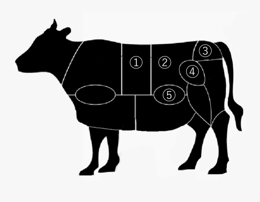 Rodeo Ahead Road Sign, Transparent Clipart