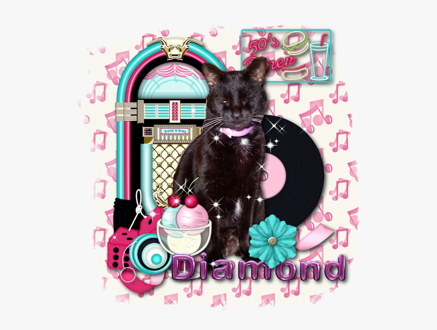 Fabulous Fifties - Domestic Short-haired Cat, Transparent Clipart