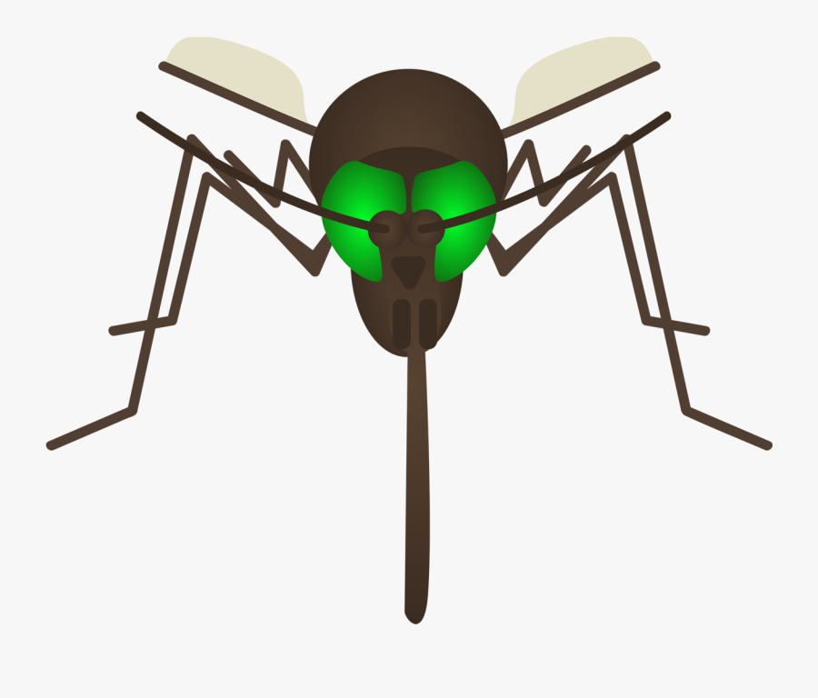 Ant , Transparent Cartoons - Ant, Transparent Clipart