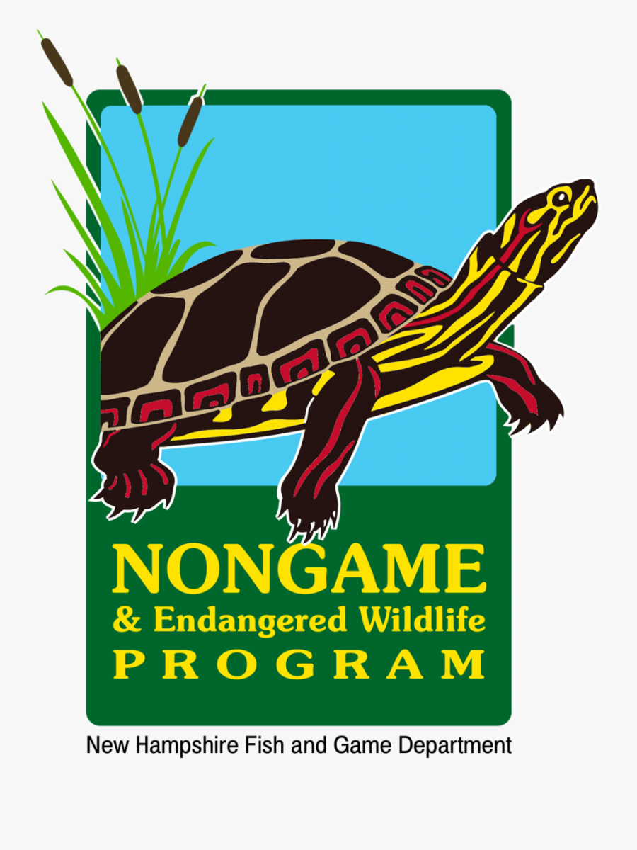 Nongame & Endangered Wildlife Program Logo - Illustration, Transparent Clipart