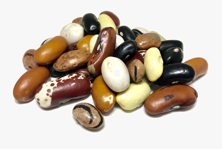 Dry Beans, Transparent Clipart