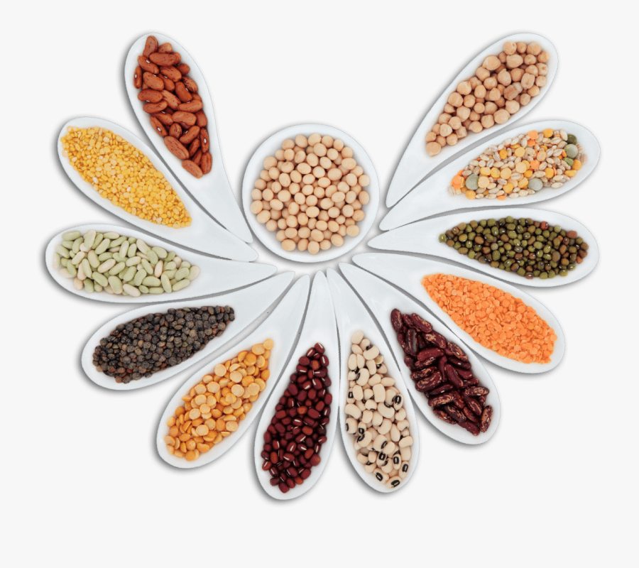 Legumes - Dals & Pulses Png, Transparent Clipart