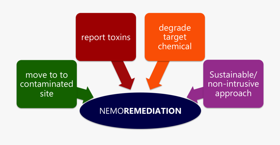 Flowchart Pollution Bioremediation Diagram Bioremediation - Types Of Pollutants Flow Chart, Transparent Clipart