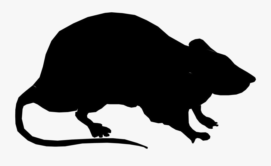 Laboratory Rat Silhouette Black Rat Clip Art - Silhouette Of A Rat, Transparent Clipart