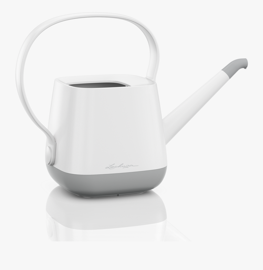 Lechuza Konvička, Transparent Clipart