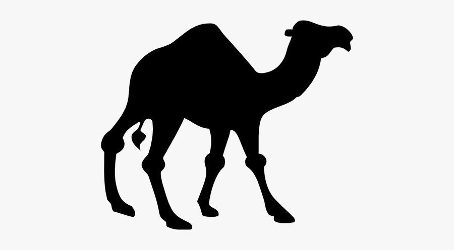 Camel Black Vector Silhouette - Clipart Camel, Transparent Clipart