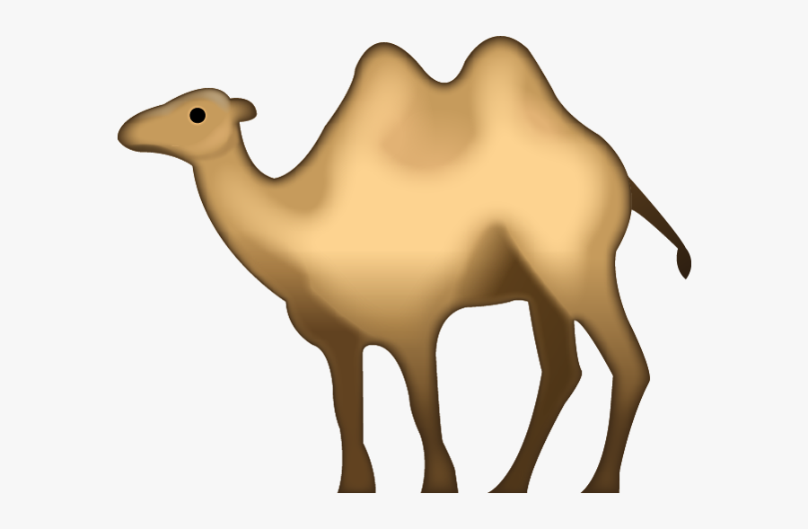 Camel Animal Transparent Png Images Free Download - Camel Iphone Emoji Png, Transparent Clipart