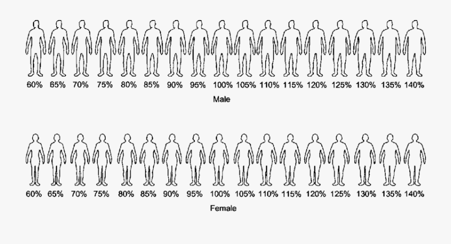Transparent Scales Body - Gardner Bias Bd, Transparent Clipart