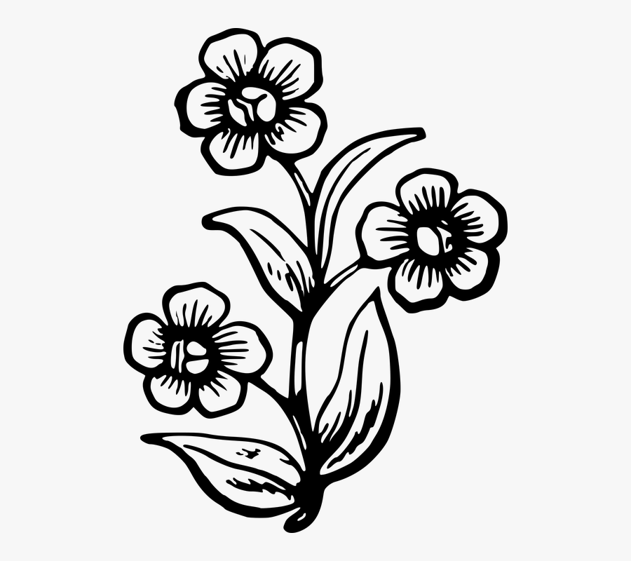 Flora, Floral, Flower, Plant - Drawing Of Big Flowers, Transparent Clipart