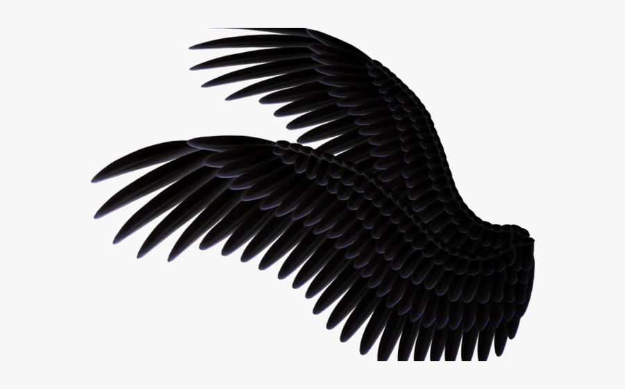 Spread Clipart Wings Spread - Black Angel Wings Side View, Transparent Clipart