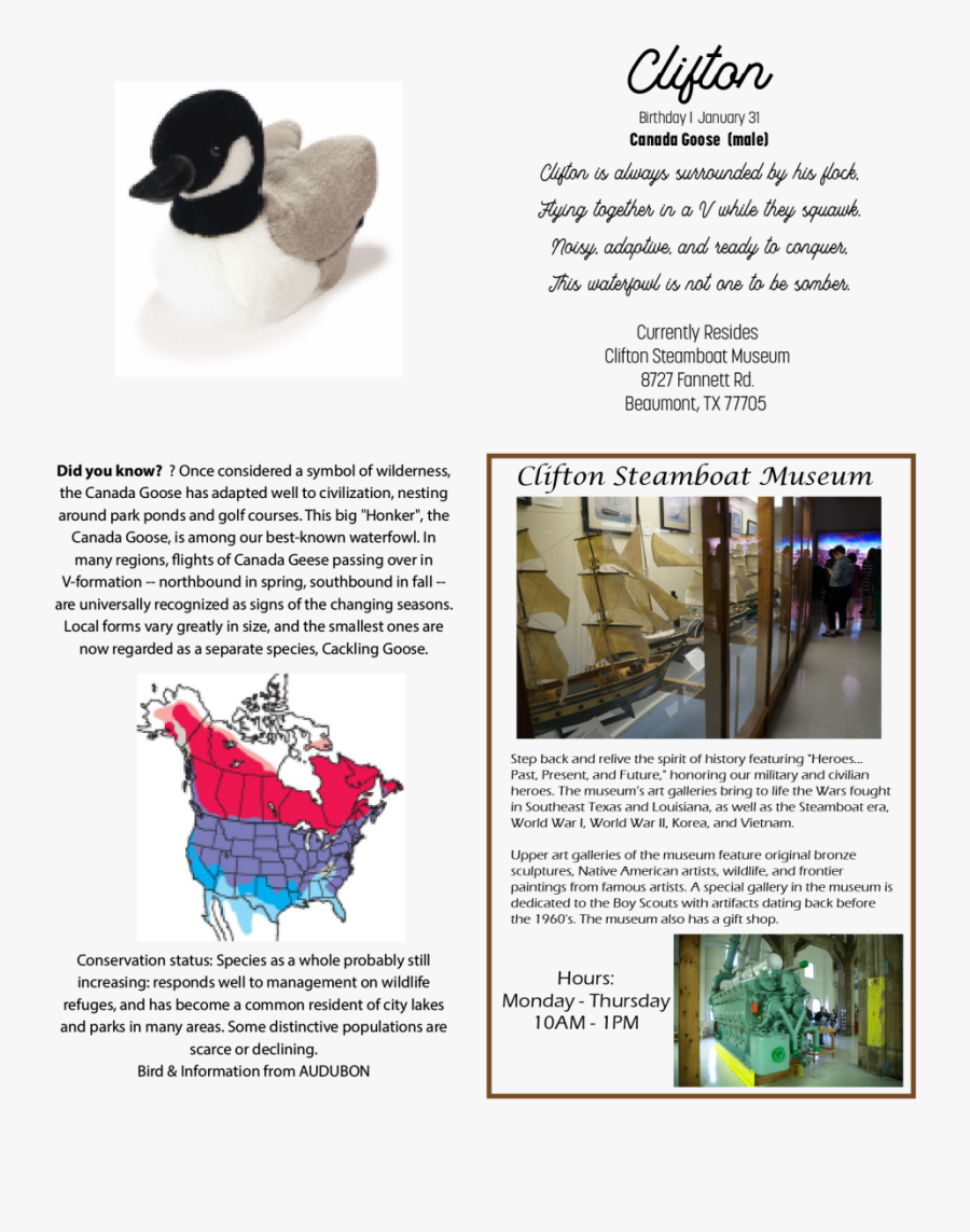 Canada Goose - Duck - Duck, Transparent Clipart