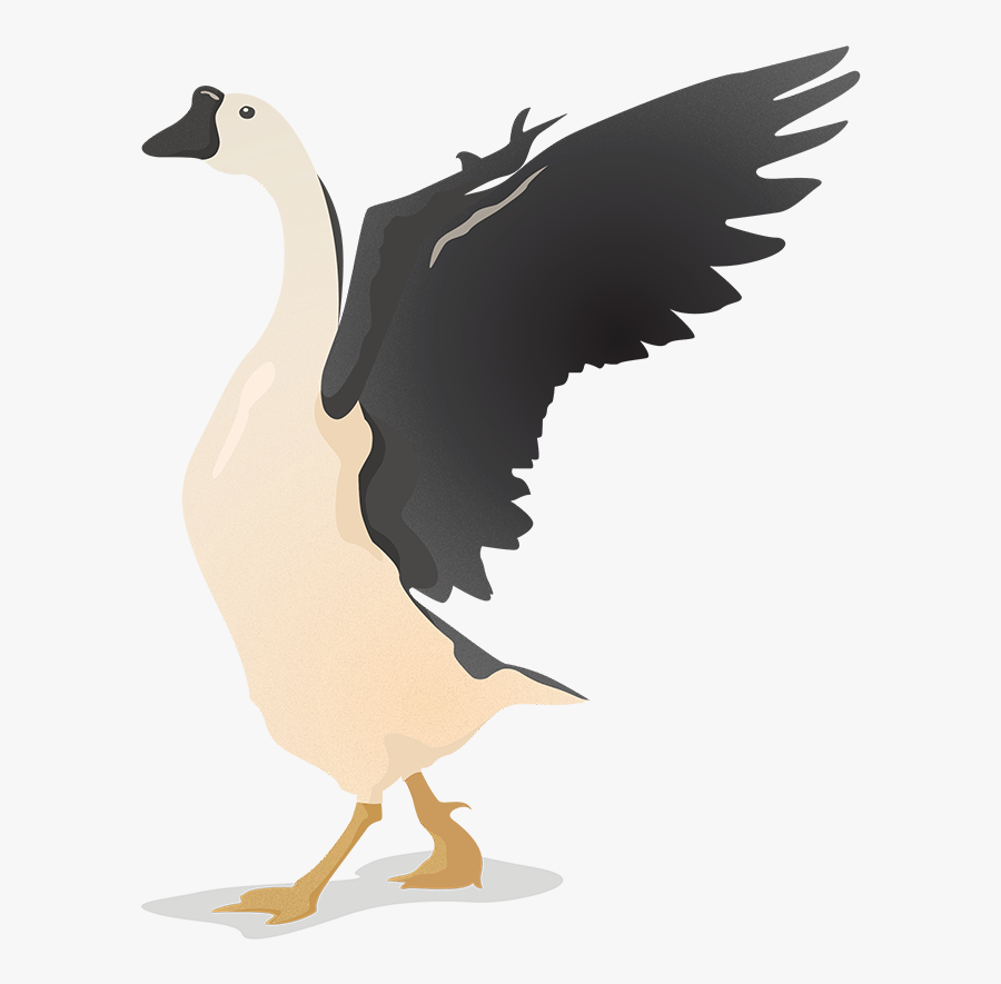 Goose Illustration Png, Transparent Clipart