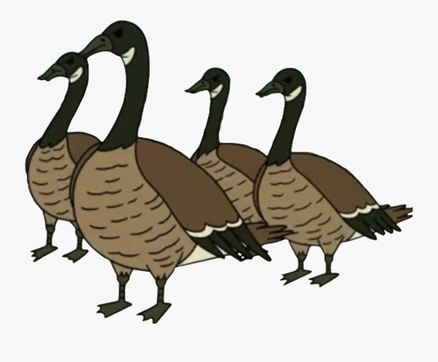 Canada-goose - Regular Show Geese Png, Transparent Clipart