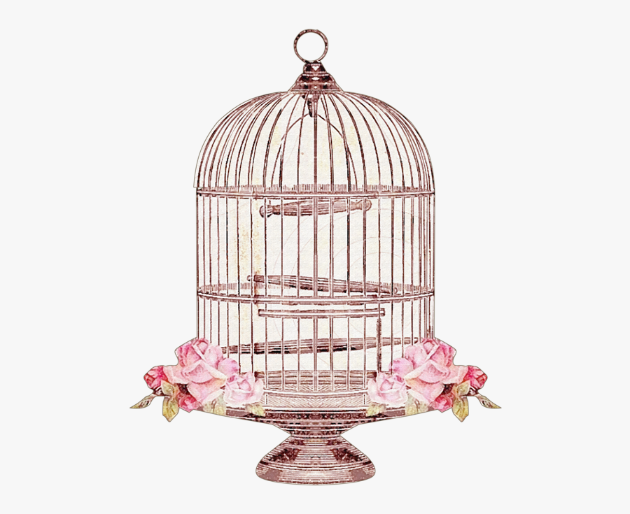 Bird Cage Vector Png, Transparent Clipart