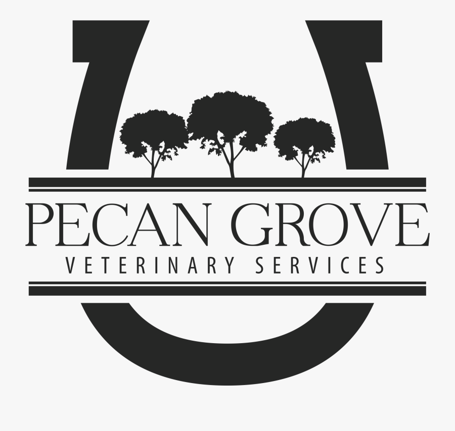 Tree, Transparent Clipart