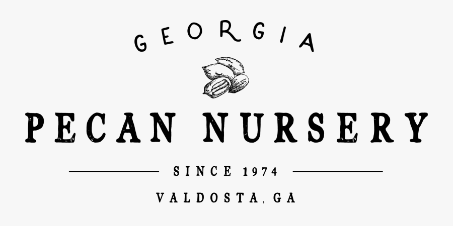 Parallel, Transparent Clipart