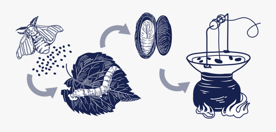 Illustration, Transparent Clipart