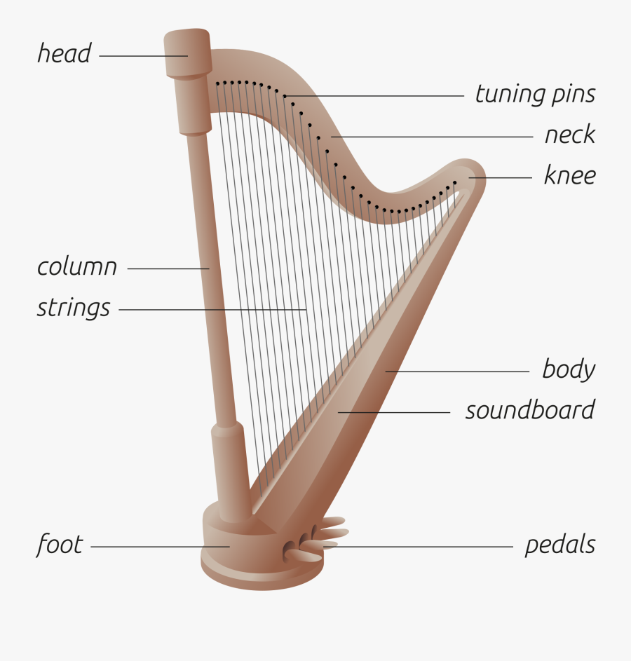 Px Svg Png - Diagram Of A Harp, Transparent Clipart