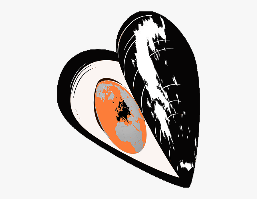 Shell Clipart Shellfish - Mussels Clipart Png, Transparent Clipart