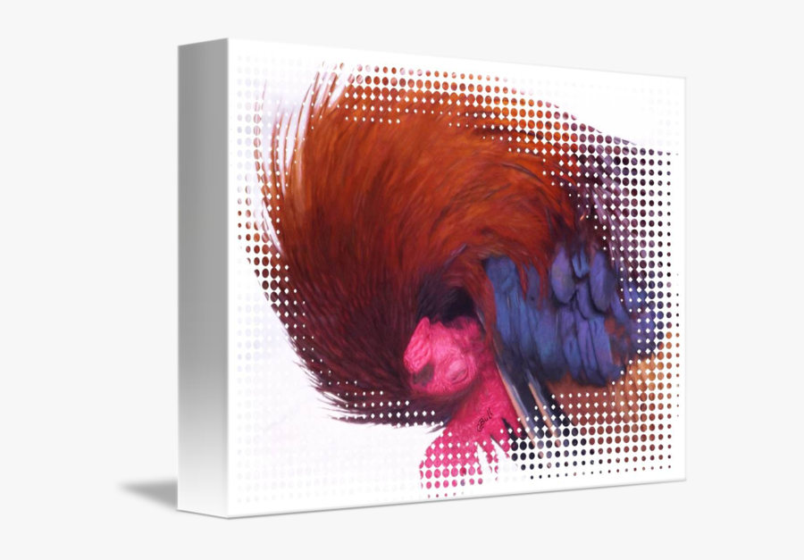 Clip Art Key West Roosters - Yes Transparent Background, Transparent Clipart