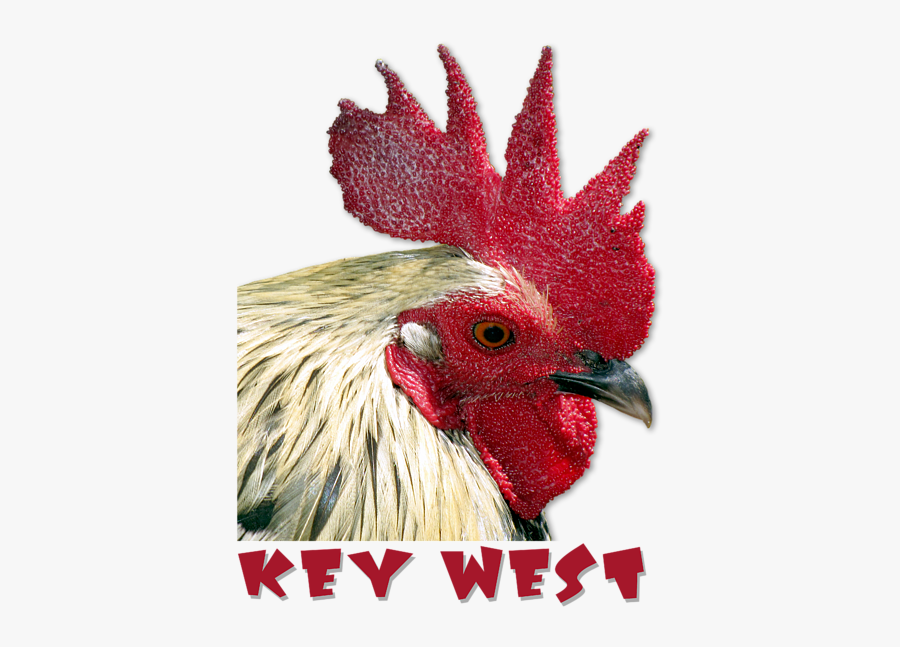 Clip Art Special Edition Rooster Onesie - Canvas, Transparent Clipart