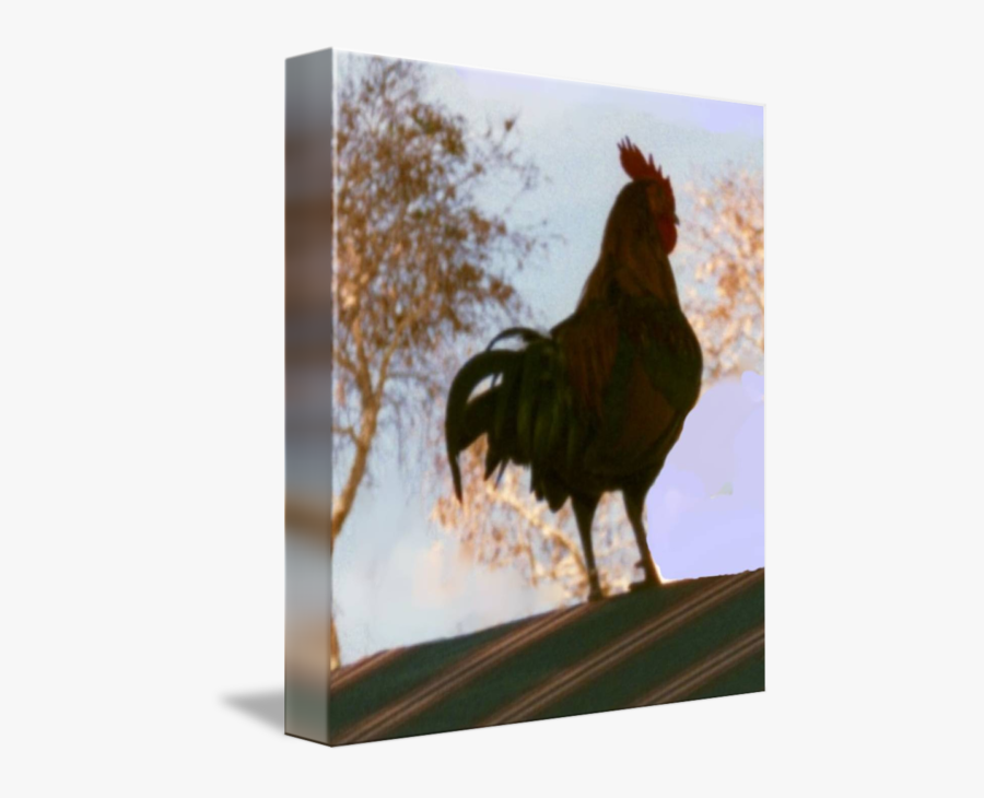 Clip Art Key West Roosters - Rooster, Transparent Clipart