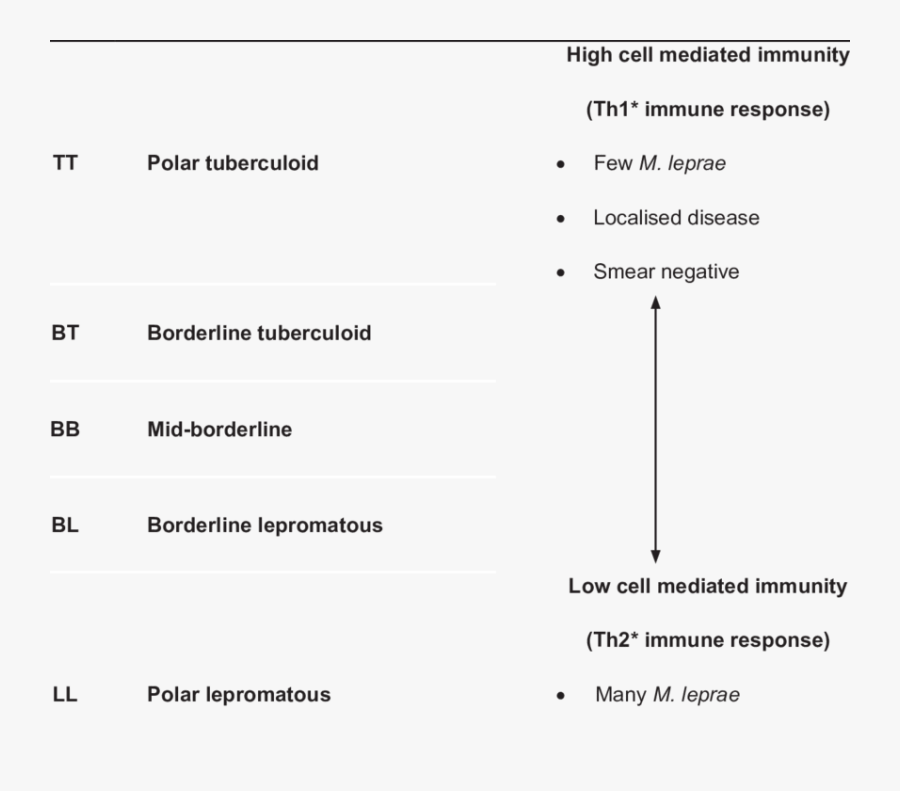 Clip Art Leprosy Images, Transparent Clipart