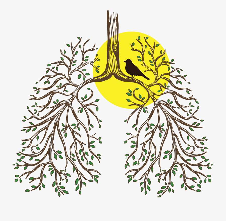 Primary Ciliary Dyskinesia Clipart, Transparent Clipart
