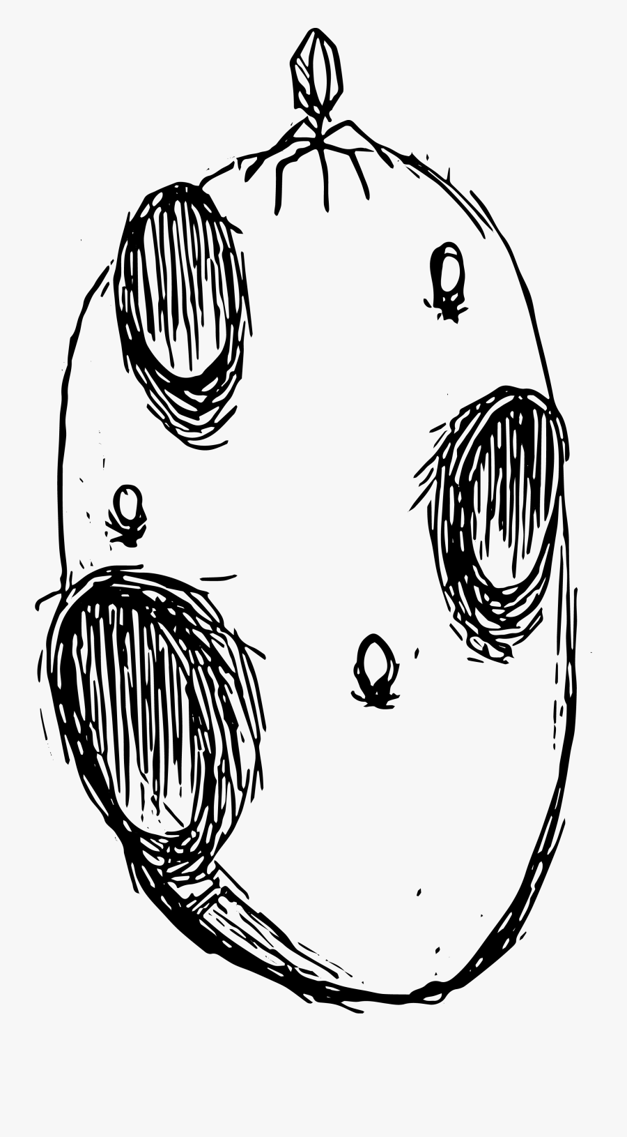 Drawing Sphere Chiaroscuro - Illustration, Transparent Clipart