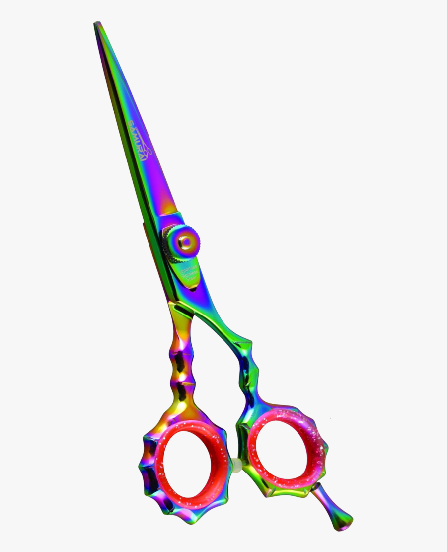 Multimedia Software, Transparent Clipart