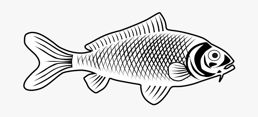 Bass, Transparent Clipart
