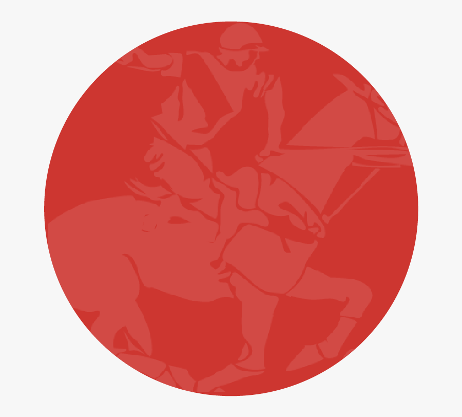 Circle, Transparent Clipart