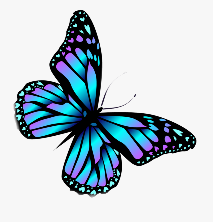 #butterfly #butterflies #wings #blue #colorful #colourful - Monarch Butterfly, Transparent Clipart