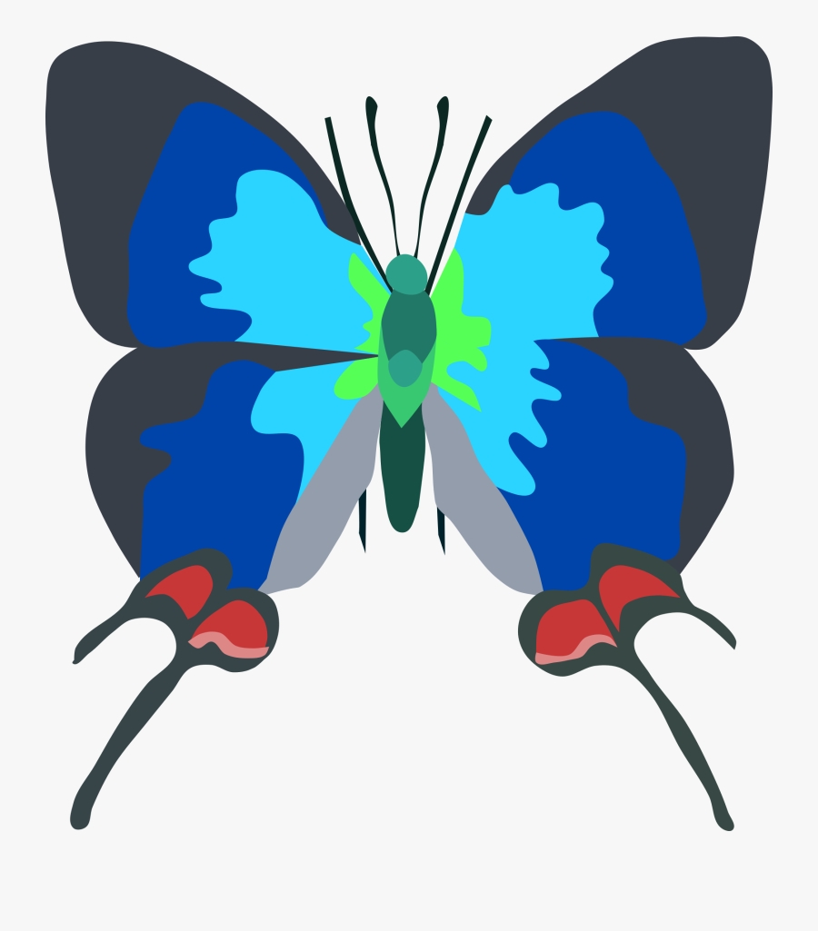 Butterfly, Transparent Clipart