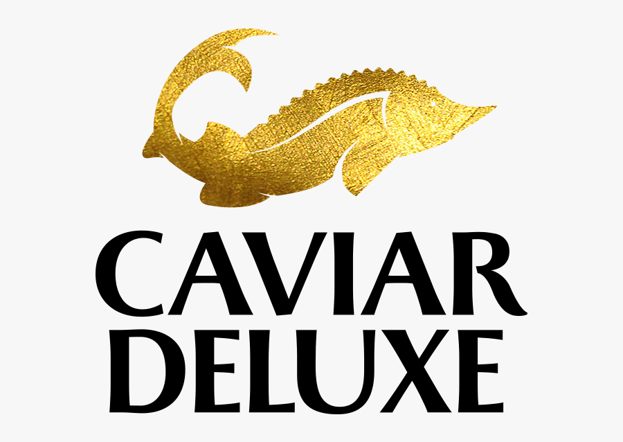 Clip Art Deluxe Premium Sturgeon - Alligator, Transparent Clipart