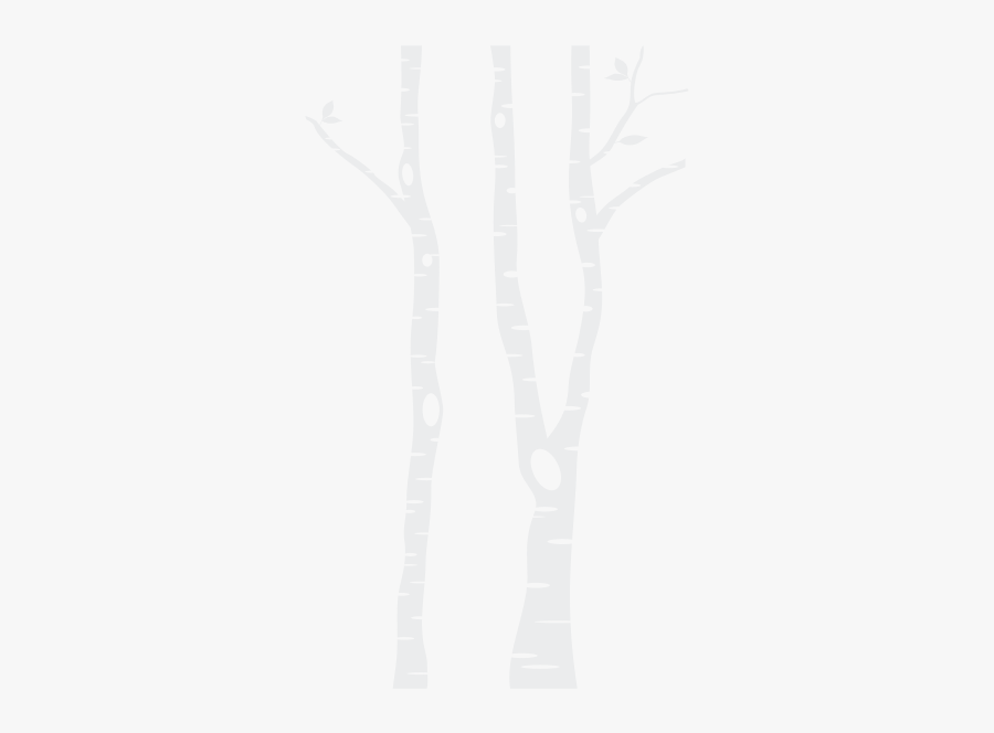 Black And White Birch Tree Clip Art, Transparent Clipart