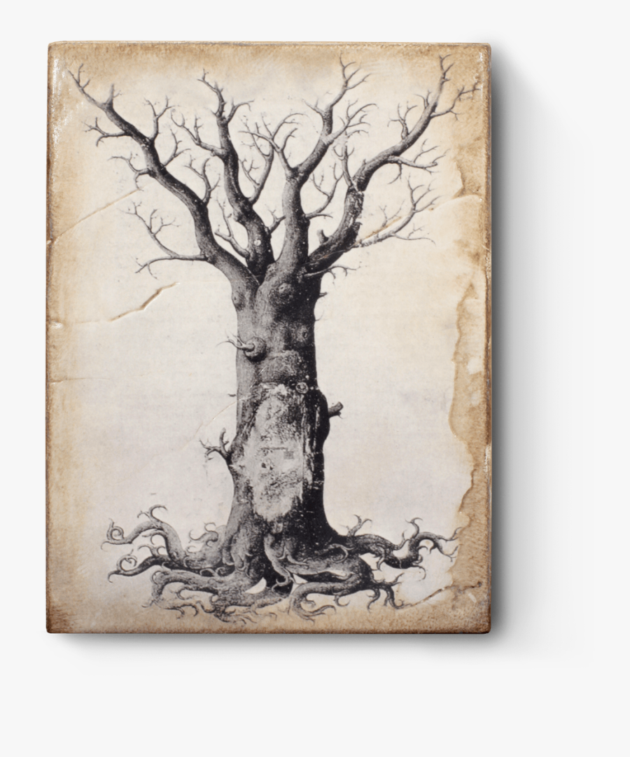 Medieval Tree Of Life, Transparent Clipart