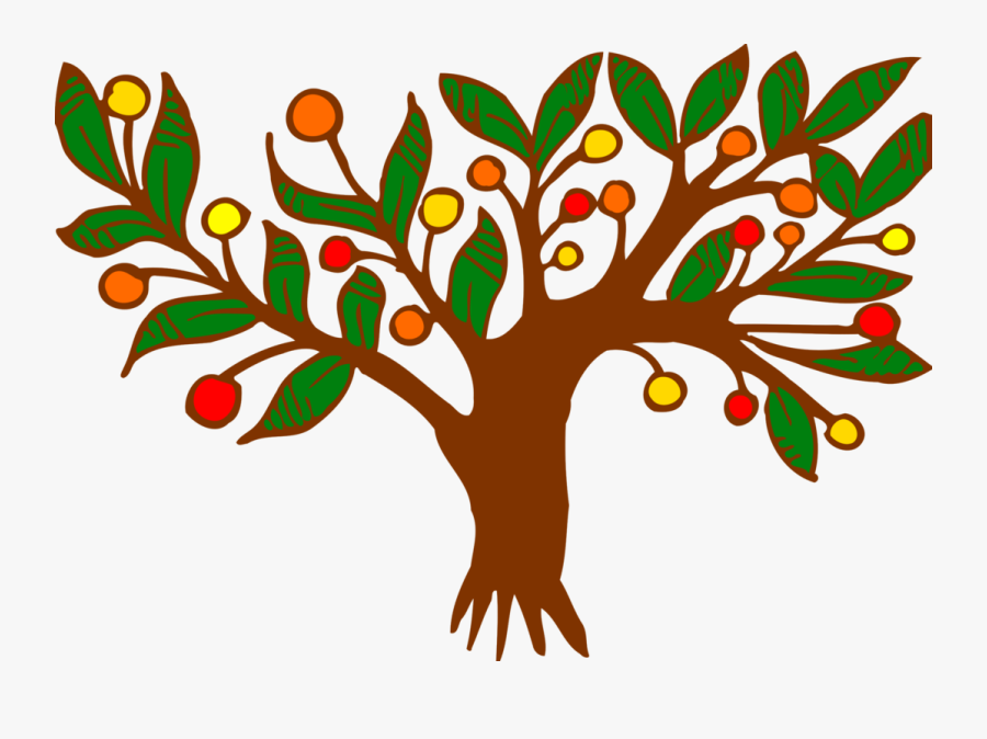 Fruit Tree Color Drawing Branch Cc0 - Tree Drawing Branches Colored, Transparent Clipart