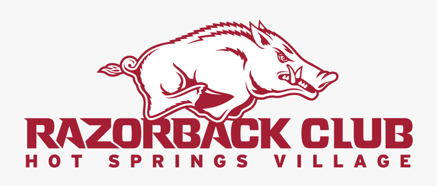 Boar, Transparent Clipart