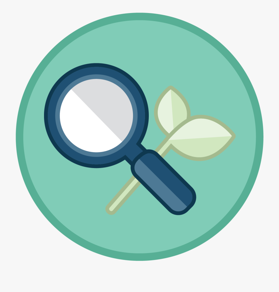 Desert Detective Life Cycles - Circle, Transparent Clipart