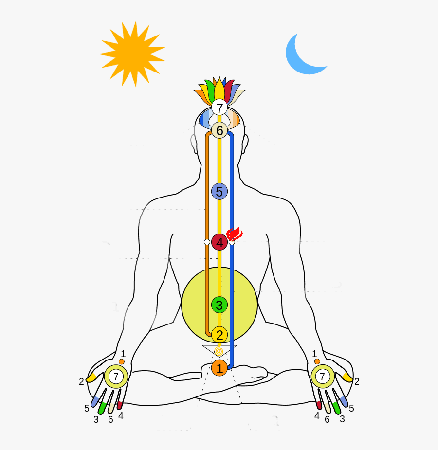 Energy Flow Map In Human Body, Transparent Clipart