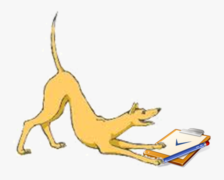 Bull And Terrier, Transparent Clipart