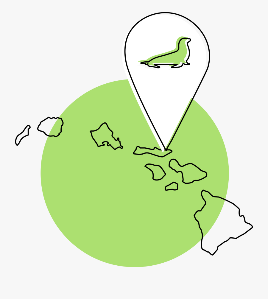 There Are Less Than 1,400 Hawaiian Monk Seals Left - Illustration, Transparent Clipart