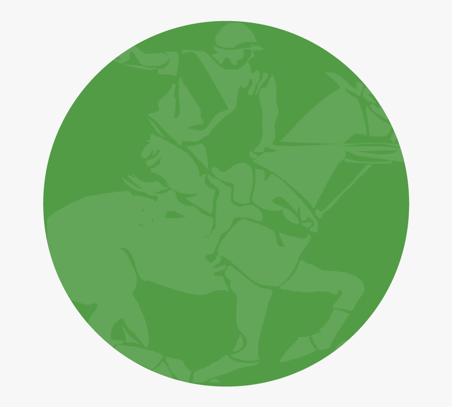 Circle, Transparent Clipart