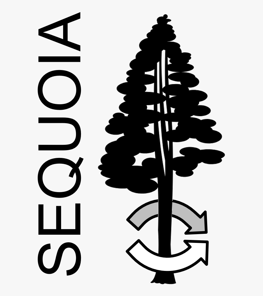 Logo - Sequoia Tree Silhouette Png, Transparent Clipart