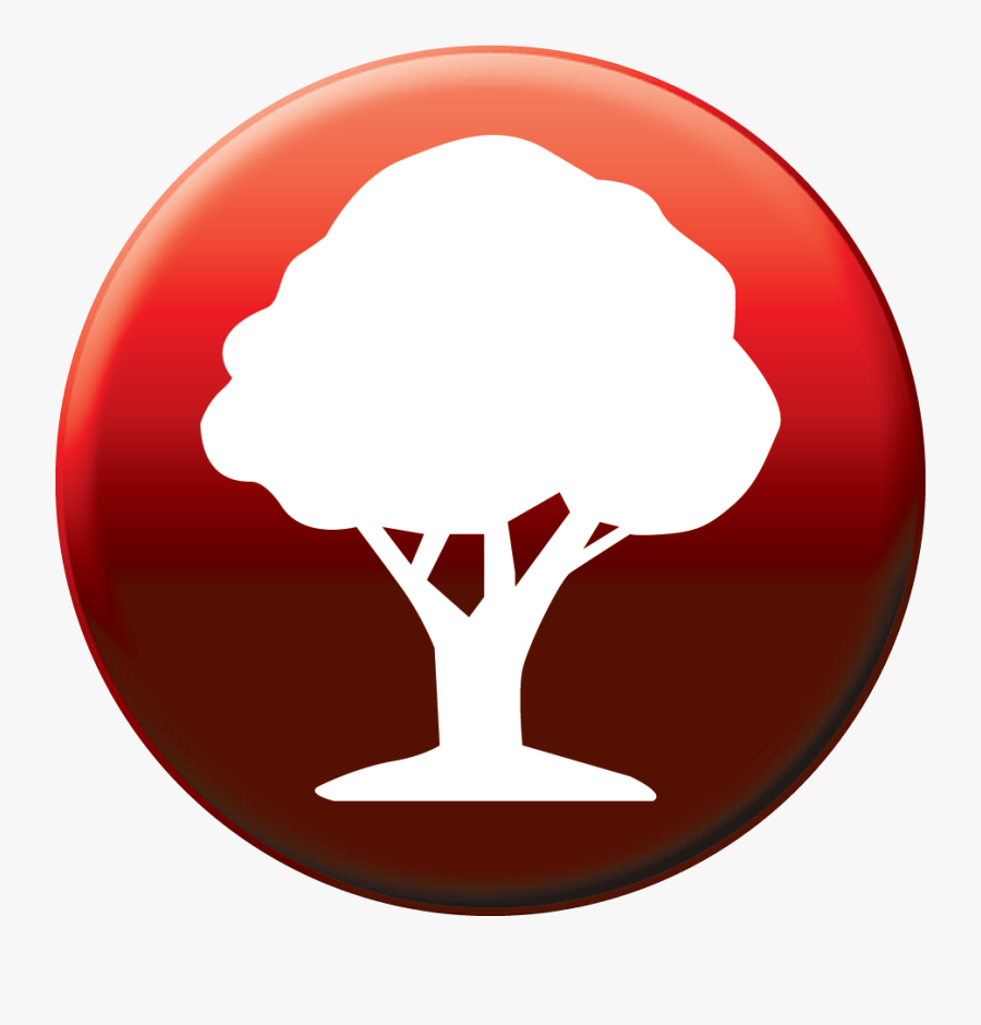 Tree Shrub And Plant Formulations - Circle, Transparent Clipart