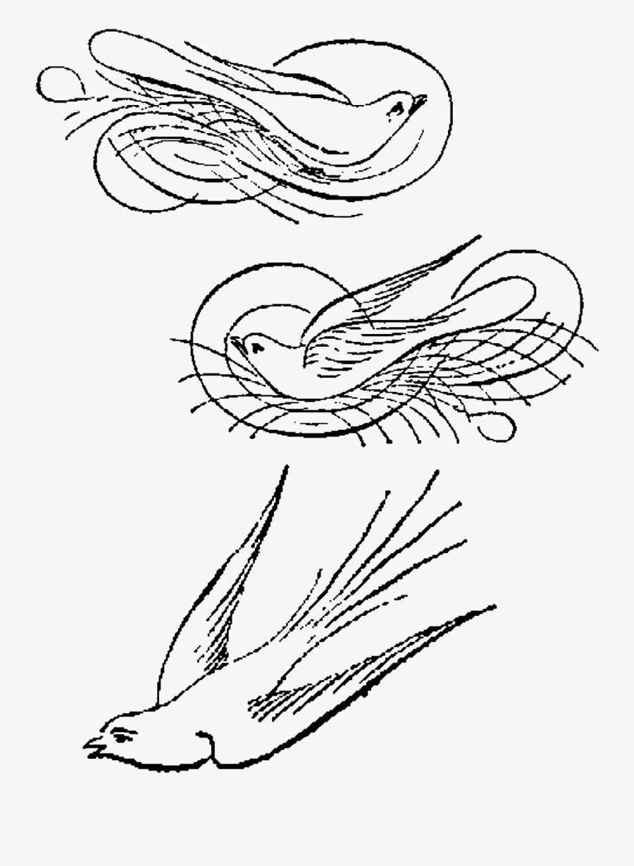Birds Calligraphy Artwork Drawings Illustrations Downloads - Line Art, Transparent Clipart