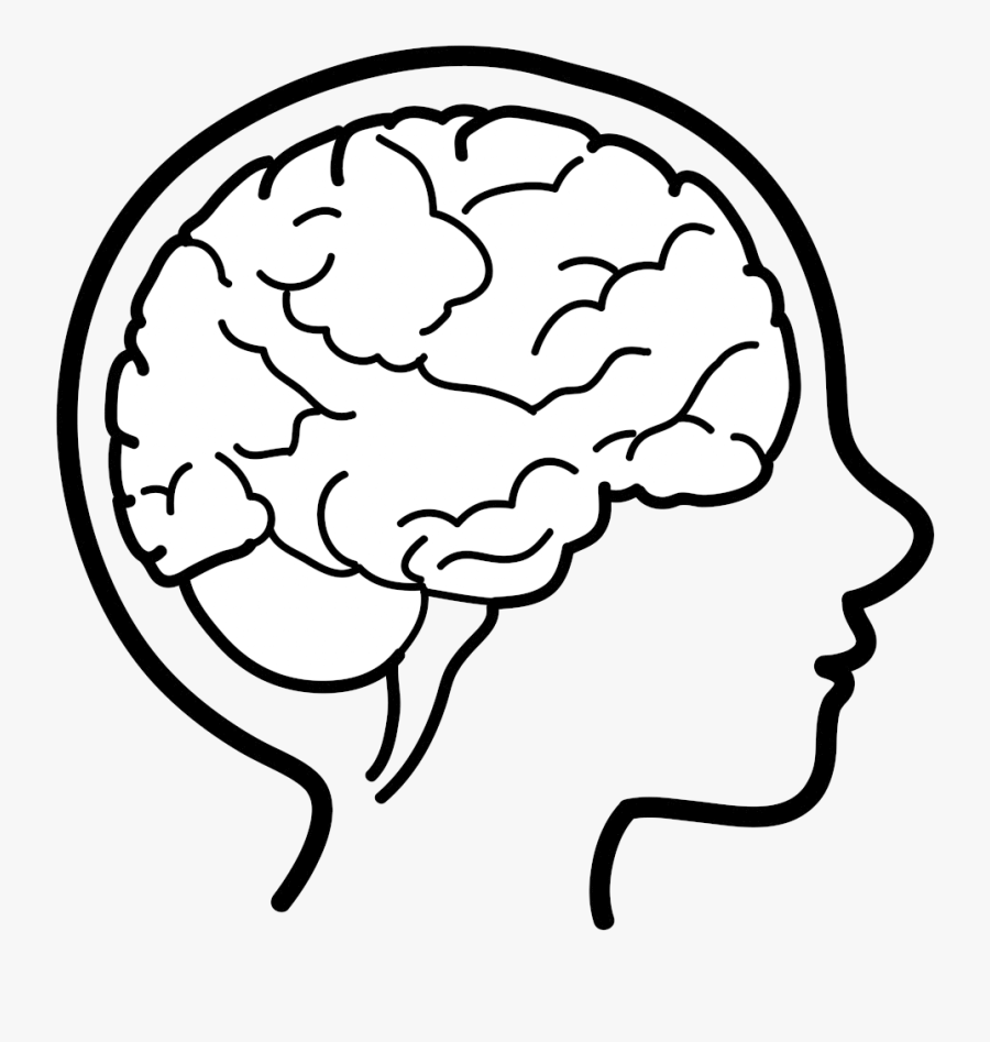 Brain Cute Clipart Free Best Transparent Png Kids Brain